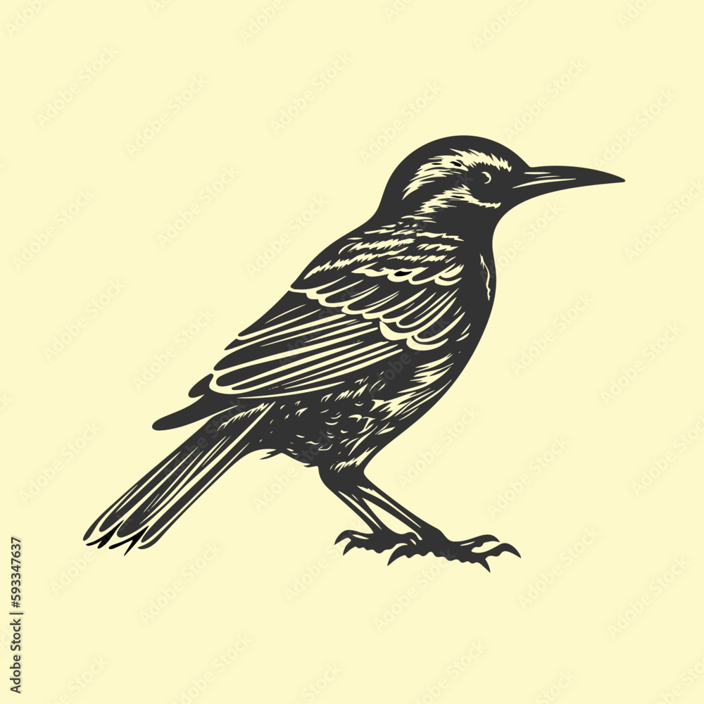 Fototapeta premium Hand drawn Bird illustration. 