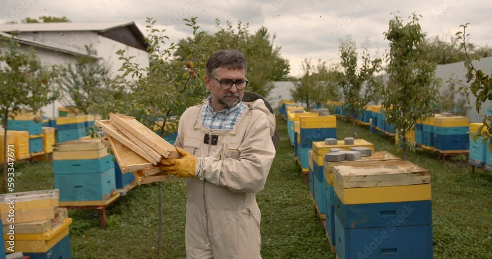 Male bee keeper carrying frames for honey Male bee keeper carrying frames for honey