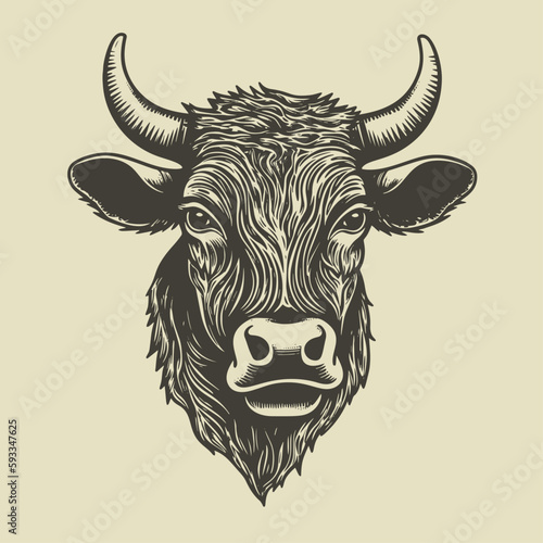 Hand drawn cow head illustration. Vintage woodcut engraving style vector illustration.