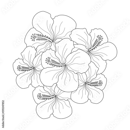 Hibiscus Flower Coloring page illustration With Line Art