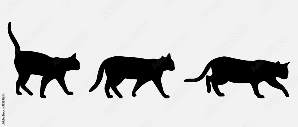 isolated black silhouette of a cat, vector collection