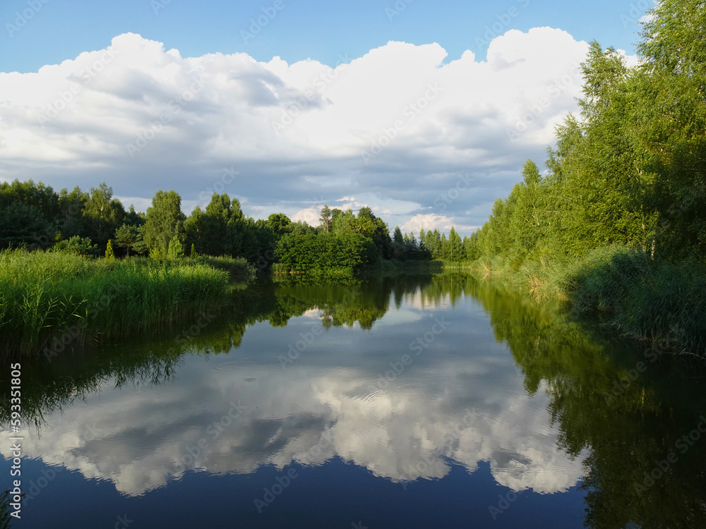 Reflections of trees and bushes in the surface of a calm lake on a sunny summer day near Kurów, Pulawy, Poland Reflections of trees and bushes in the surface of a calm lake on a sunny summer day near Kurów, Pulawy, Poland