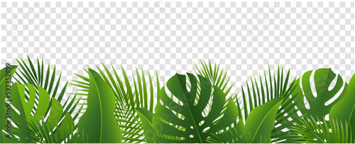 frame with tropical leaves