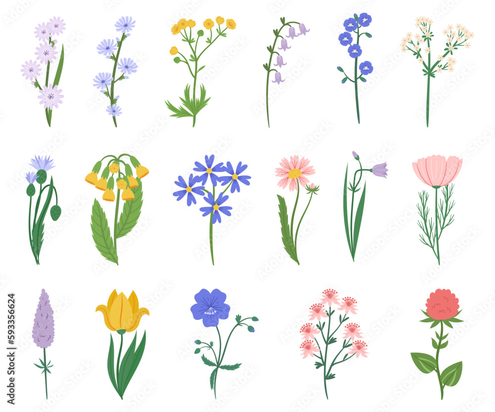 Set Of Wildflowers Features A Stunning Array Of Colors, Including Purple, Pink, And Yellow, Wild Flowers Collection