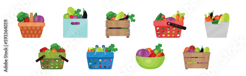 Ripe Vegetable in Basket and Crate as Seasonal Harvesting and Yield Vector Set