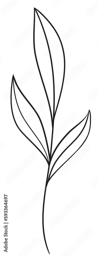 Naklejka premium Hand Draw Branch Leaves, Line Art