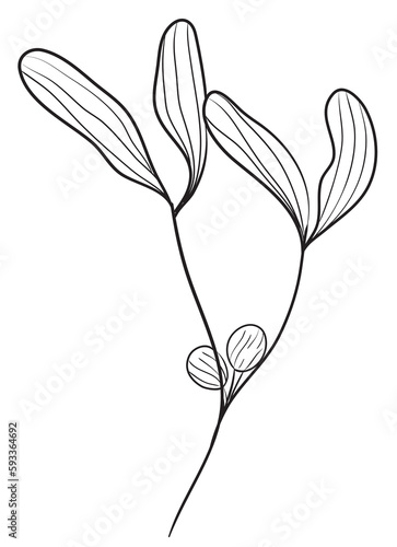 Hand Draw Branch Leaves, Line Art