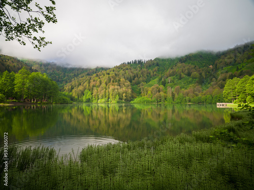 Beautiful forest lake at morning 