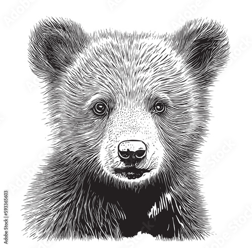 Bear cub face sketch hand drawn cartoon style illustration