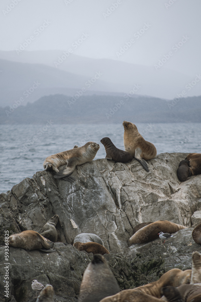 Fototapeta premium Ushuaia 
