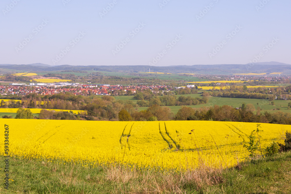 Flowering of rapeseed in the fields against the backdrop of the village in sunny weather
Flowering of rapeseed in the fields against the backdrop of the village in sunny weather
