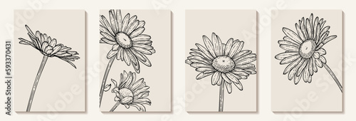 Set of creative minimalist hand draw illustrations floral outline daisy pastel biege simple shape for wall decoration, postcard or brochure cover design