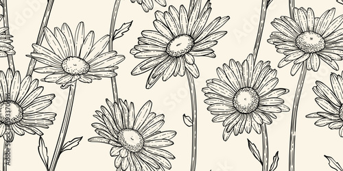 Hand Drawn doodle Scribble floral plants camomile seamless pattern. Abstract flowers daisy. Creative minimalist Abstract art background. Design wall decoration, postcards, poster or brochure