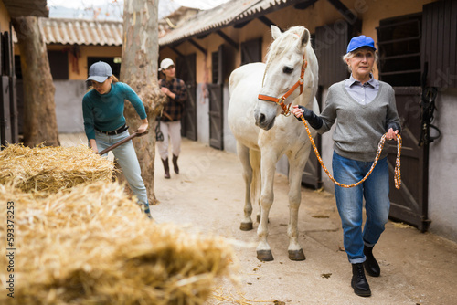 Elderly woman leads a white horse by the bridle along the stable © JackF