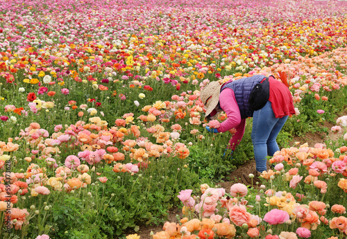 worker in flower field 