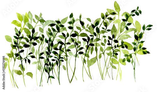 Sfondo con foglie verdi e rami isolate su sfondo bianco, illustrazione ad acquerello