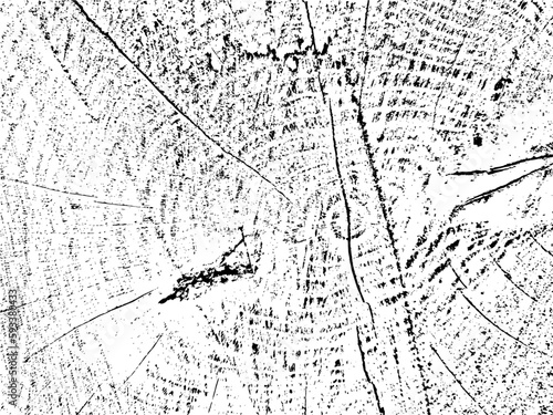 Vector grunge texture of an old sawn tree cross section with cracks. Natural, monochrome, organic background. Use for vintage, rustic, abstract designs