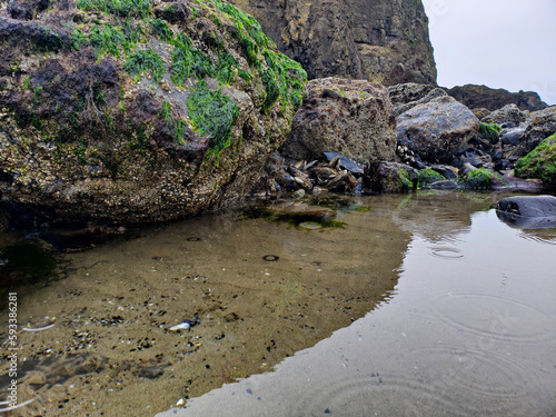 Tide pools