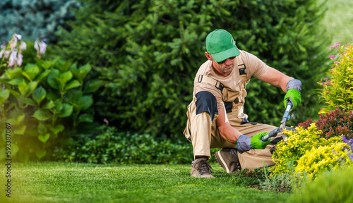 Professional Landscaper Focused on Pruning Plant