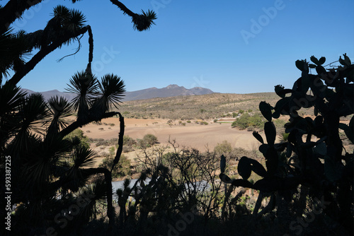 Vista de nopales en el valle del semidesierto en cadereyta queretaro photo