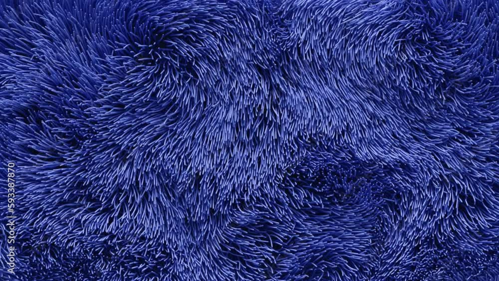 Smoothly moving lines, like grass swaying in the wind. Wavy swirling hair background. Fuzzy carpet. Seamless loop Smoothly moving lines, like grass swaying in the wind. Wavy swirling hair background. Fuzzy carpet. Seamless loop