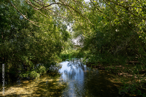 View of the river Bourne near Salisbury in Wiltshire on a summer afternoon, England photo