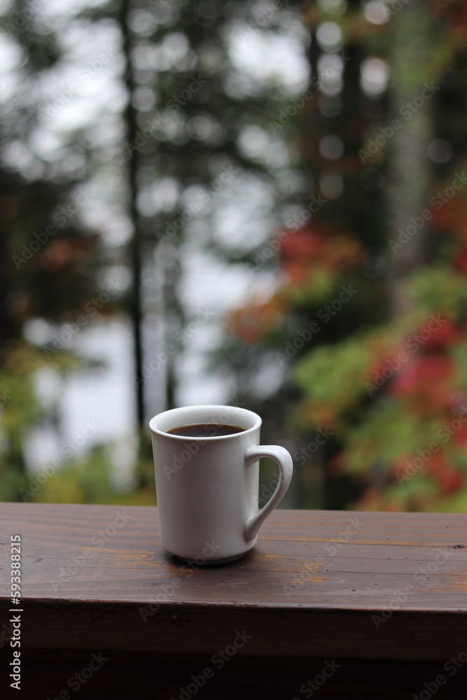 Clicking coffee cups at the cabin on the lake. Northern Minnesota. 