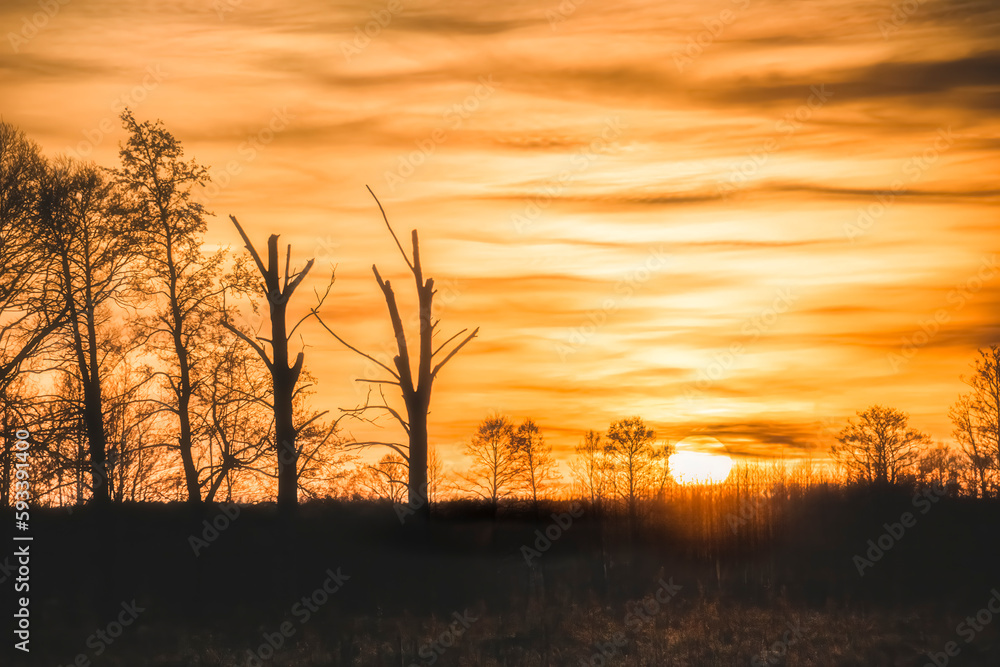 Fototapeta premium Zachód słońca. 