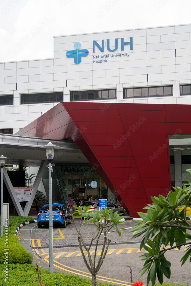 NATIONAL UNIVERSITY OF SINGAPORE FACULTY OF MEDICINE visual data 6