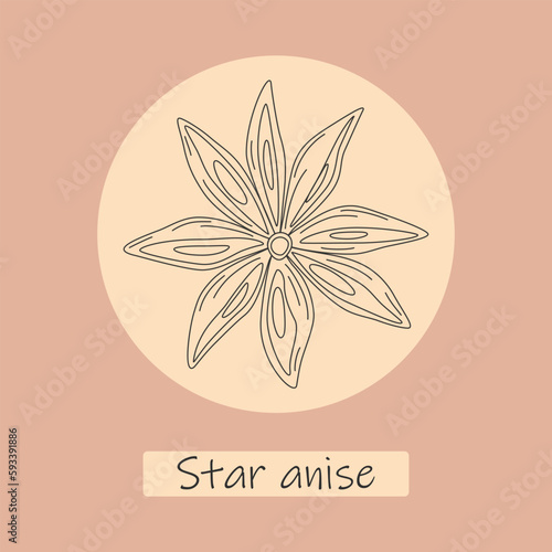 Contour drawing of anise on the backdrop of circle with lettering Star anise. Template for wrapping