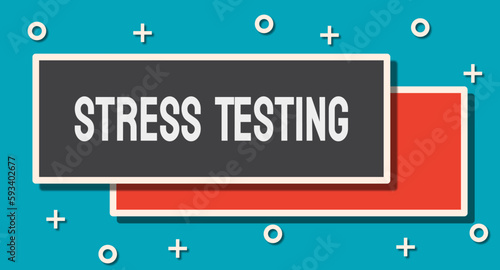 Stress Testing - Testing a system's resilience under stress or adverse conditions.