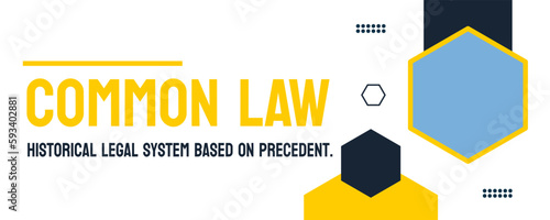 COMMON LAW: Laws based on judicial decisions rather than statutes.