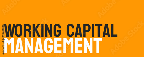 Working Capital Management: Managing a company's short-term assets and liabilities.