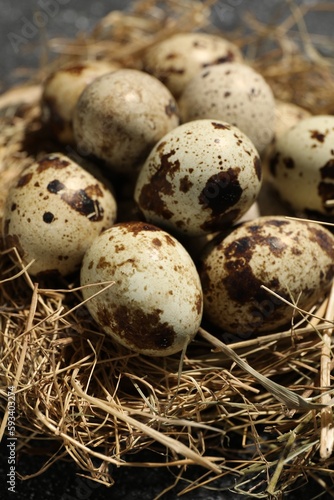 Nest with many speckled quail eggs on table, closeup