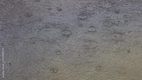 raindrops fall into the water,raindrops create small waves on the water surface,