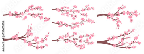 Cherry blossom sakura twigs with pink flowers collection. Elegant Japanese blooming branches plant with flowers set. Asian Chinese spring decorative cherry blossoming. Vector oriental illustration © neliakott