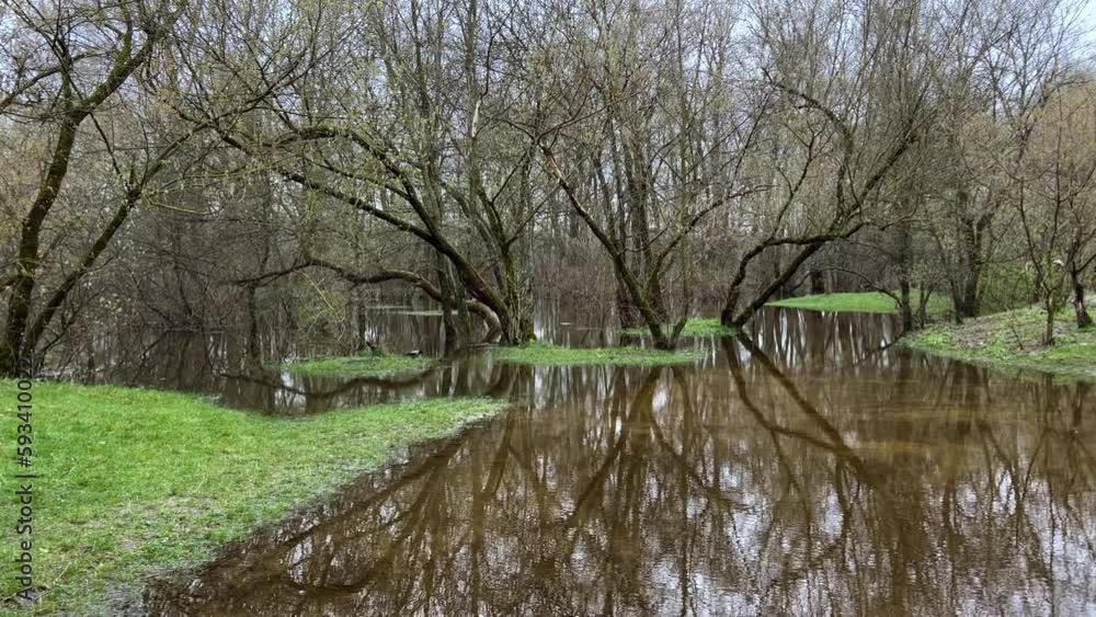 Flooding in the city park among the fruit trees on a spring day Flooding in the city park among the fruit trees on a spring day