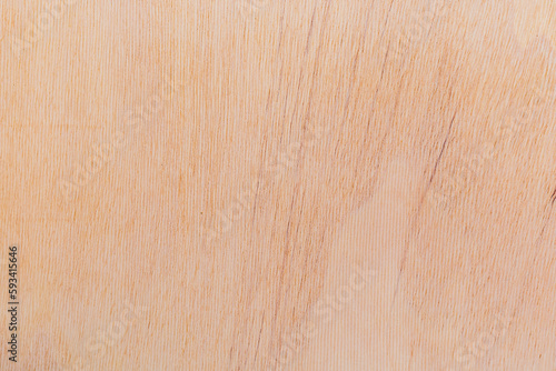 Light rough textured cut surface of an African tree. Wood background or blank for design photo