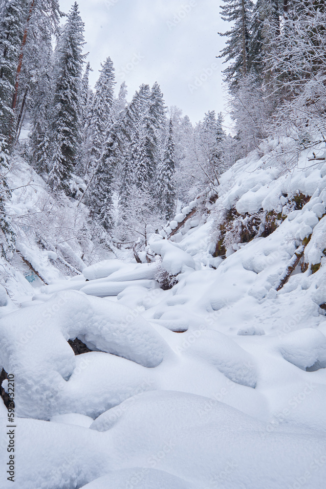 Footpath in winter taiga forest under heavy snow along Tevenek river on the bank of Teletskoe lake. Altai. Footpath in winter taiga forest under heavy snow along Tevenek river on the bank of Teletskoe lake. Altai.