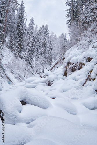 Wallpaper Mural Footpath in winter taiga forest under heavy snow along Tevenek river on the bank of Teletskoe lake. Altai. Torontodigital.ca