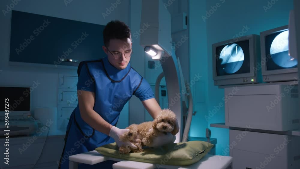 Professional male doctor in radiology protective vest checking cute
