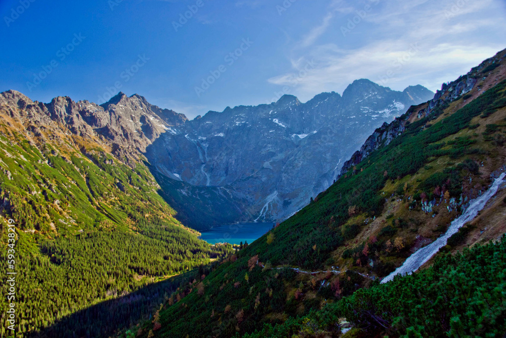 Obraz premium Tatry, Dolina pięciu stawów, góry skaliste, drzewa