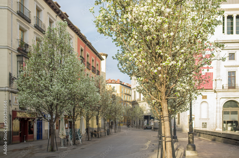 streets of madrid in spring. Madrid. Spain - March , 2021. The Arenal street in downtown Madrid, in Spain, Europe