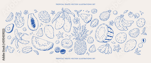 Fresh tropical fruits vector illustrations set.Hand drawn sketches.