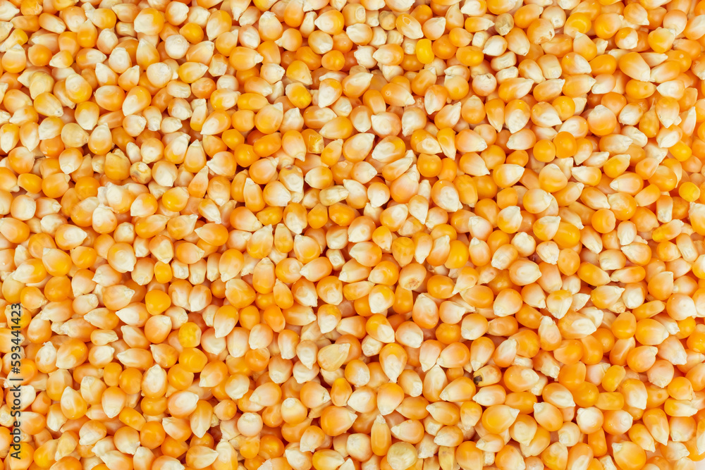 Top view corn grains texture background, organic, natural and healthy food. Top view corn grains texture background, organic, natural and healthy food.