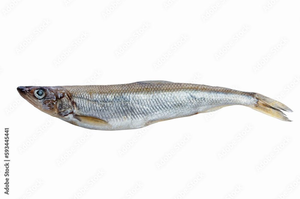 Raw small fish. Healthy food, vitamins and minerals. Top view. Isolated on white background. Close-up. Raw small fish. Healthy food, vitamins and minerals. Top view. Isolated on white background. Close-up.