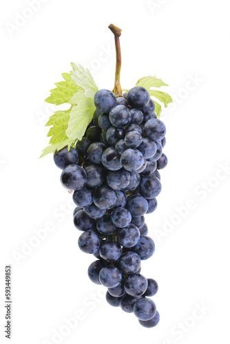 Grape bunch isolated 