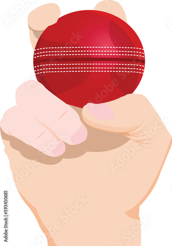 Cricket ball in hand vector
