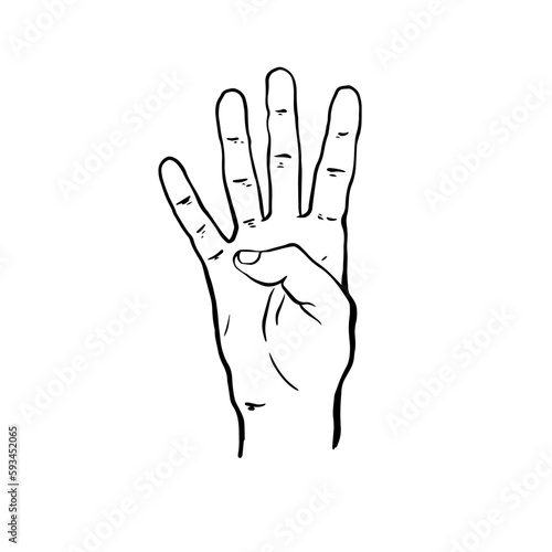 Hand with four fingers up. The hand shows four fingers raised up. 4 fingers