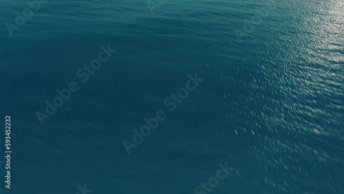 Aerial view of seagulls flying over the ocean at sunset. A small flock of seagulls flies over the surface of the ocean.
